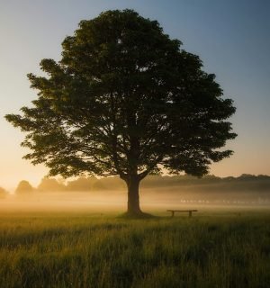 simon-wilkes-S297j2CsdlM-unsplash (1)