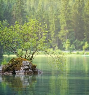 waters-3095682_1280